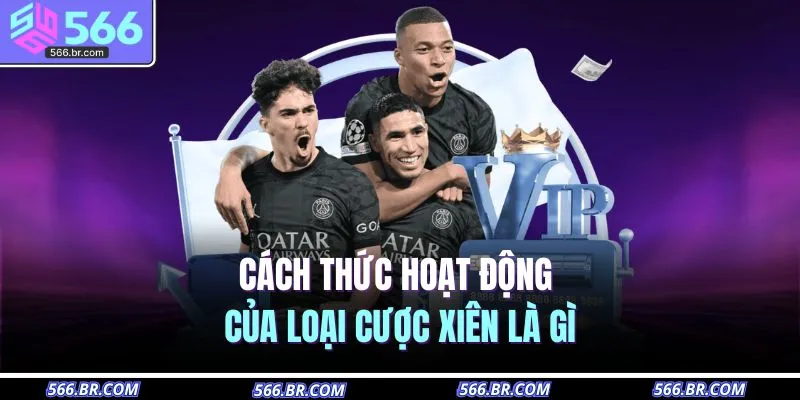 Cách thức hoạt động của loại cược xiên là gì