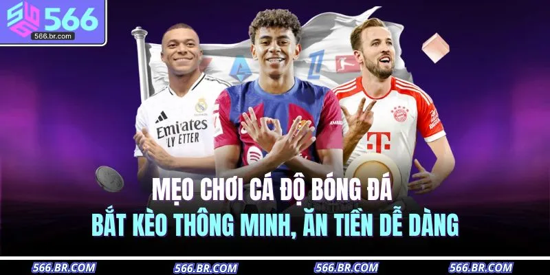 meo choi ca do bong da bat keo thong minh an tien de dang