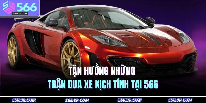Tận hưởng những trận đua xe kịch tính tại 566