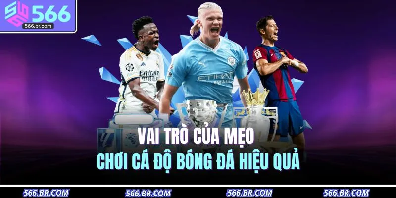 Mẹo Chơi Cá Độ Bóng Đá – Bắt Kèo Thông Minh, Ăn Tiền Dễ Dàng 2 Vai trò của mẹo chơi cá độ bóng đá hiệu quả